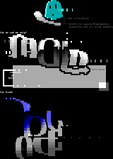 ansi ansi, jiggle it! by the illusionist