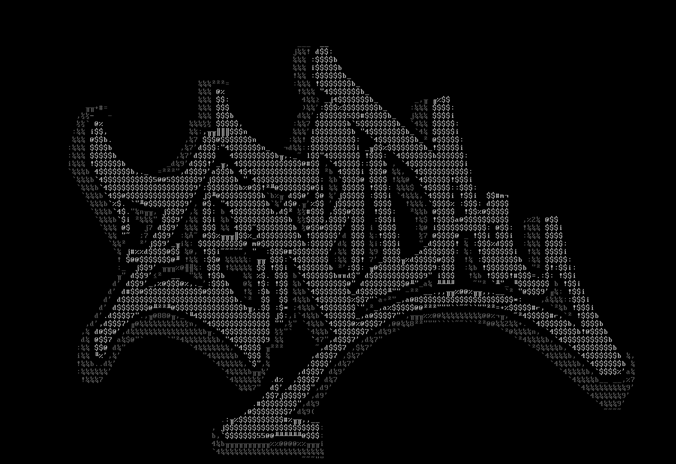 zer0day by hOlocaust