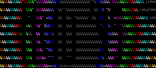 ascii by lord regulator