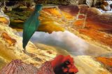 To Preserve the Heart Mind and to P by Arielle Olivier