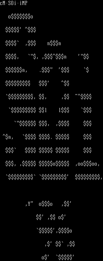 SOi ASCii Logo by Computer Man