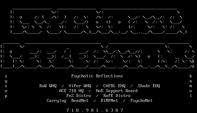 Psychotic Reflections ASCii by Kamui